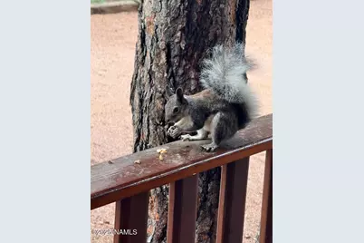 2761 Apollo Circle, Heber-Overgaard, AZ 85933 - Photo 51