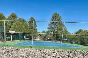 2761 Apollo Cir, Heber-Overgaard, AZ 85933 - Photo 47