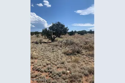 0000 Redwood Street, Williams, AZ 86046 - Photo 7