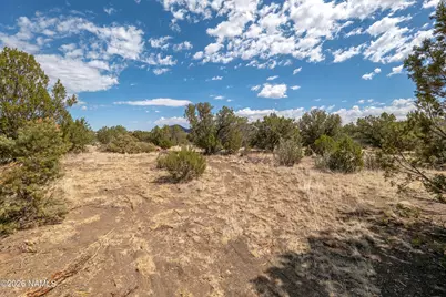 Tbd Stockmens 7.85 Acres Parcel Road, Flagstaff, AZ 86004 - Photo 5