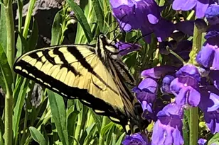 4485 E Wild Elk Trail, Flagstaff, AZ 86004 - Photo 25