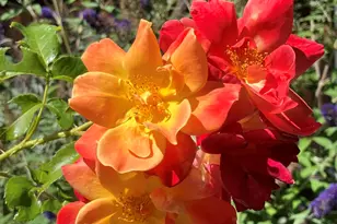 4485 E Wild Elk Trail, Flagstaff, AZ 86004 - Photo 23