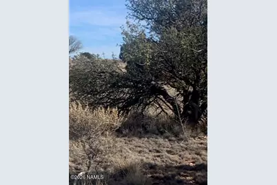 1548 E Mission Drive, Williams, AZ 86046 - Photo 5