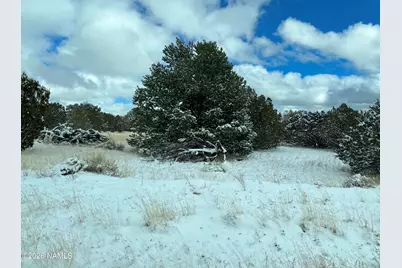 13537 Bly Station Road, Williams, AZ 86046 - Photo 5