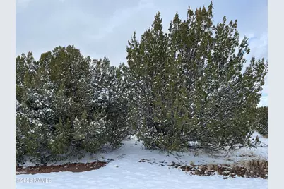 13537 Bly Station Road, Williams, AZ 86046 - Photo 47