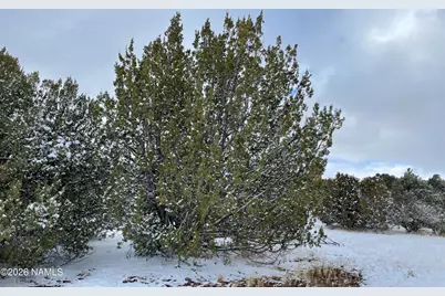 13537 Bly Station Road, Williams, AZ 86046 - Photo 43