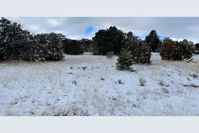 13537 Bly Station Road, Williams, AZ 86046 - Photo 35