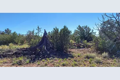 6863 N State Route 64, Williams, AZ 86046 - Photo 69