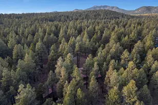 1623 N Maid Marian Dr, Parks, AZ 86018 - Photo 43