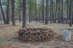 1623 N Maid Marian Dr, Parks, AZ 86018 - Photo 29