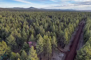 1623 N Maid Marian Dr, Parks, AZ 86018 - Photo 41