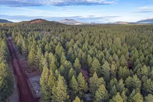 1623 N Maid Marian Dr, Parks, AZ 86018 - Photo 39