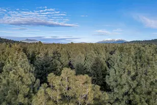 1623 N Maid Marian Dr, Parks, AZ 86018 - Photo 37