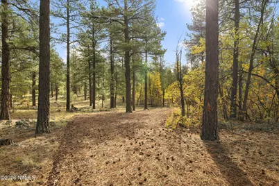 4 E Aspen Drive, Parks, AZ 86018 - Photo 11