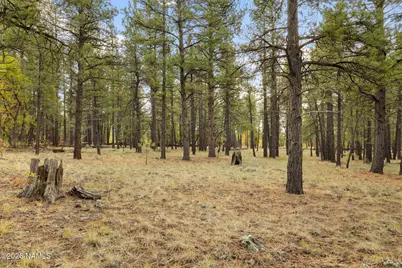 4 E Aspen Drive, Parks, AZ 86018 - Photo 23