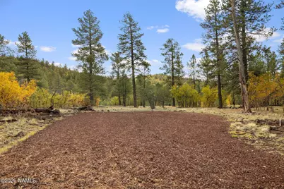 4 E Aspen Drive, Parks, AZ 86018 - Photo 17