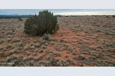 3695 S Eva Drive, Williams, AZ 86046 - Photo 3