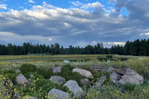 2638 Tishepi Trail, Flagstaff, AZ 86005 - Photo 31