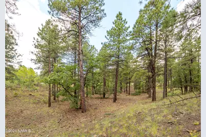 4540 S Flagstaff Ranch Road, Flagstaff, AZ 86005 - Photo 15