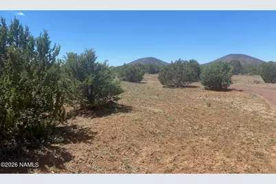 8187 N Cassity Trail, Williams, AZ 86046 - Photo 53