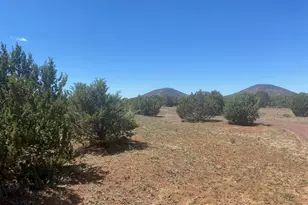 8187 N Cassity Trail, Williams, AZ 86046 - Photo 53