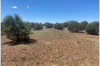 8187 N Cassity Trail, Williams, AZ 86046 - Photo 51