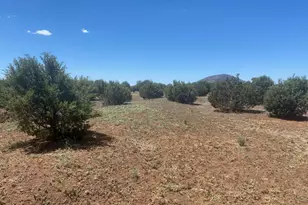 8187 N Cassity Trail, Williams, AZ 86046 - Photo 51