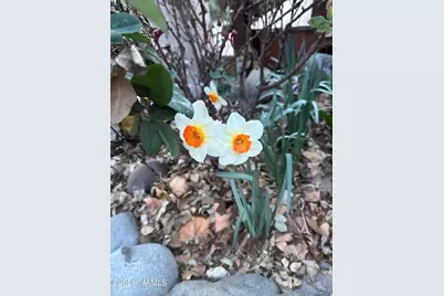 4190 E Sparkling Lane, Camp Verde, AZ 86322 - Photo 25