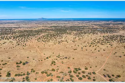 3350 Silver Bear Lane #Lot 3, Williams, AZ 86046 - Photo 1