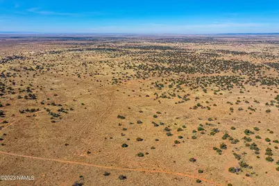 3350 Silver Bear Lane #Lot 3, Williams, AZ 86046 - Photo 9