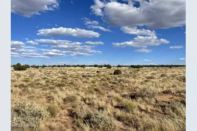 3350 Silver Bear Lane #Lot 3, Williams, AZ 86046 - Photo 15