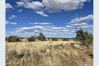 3350 Silver Bear Lane #Lot 2, Williams, AZ 86046 - Photo 15