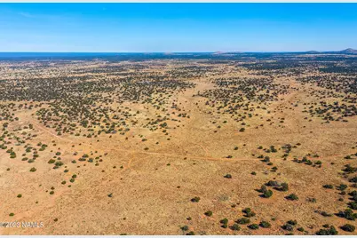 3350 Silver Bear Lane #Lot 2, Williams, AZ 86046 - Photo 11