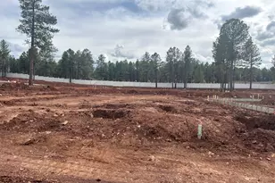 3677 W Styx Ln, Flagstaff, AZ 86005 - Photo 3