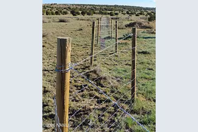 107 County Road 8206, Concho, AZ 85924 - Photo 9
