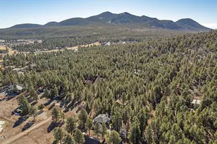 360 S Golden Mdws Trl, Williams, AZ 86046 - Photo 29