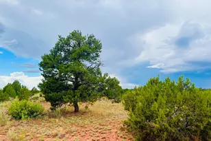 Xxxx Lasso Loop, Williams, AZ 86046 - Photo 1