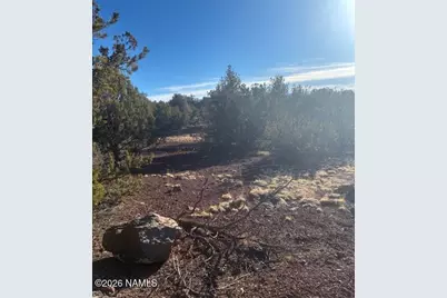 872 E Deerlick Trail, Williams, AZ 86046 - Photo 13