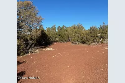 872 E Deerlick Trail, Williams, AZ 86046 - Photo 11