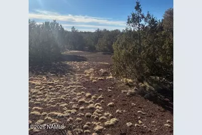 872 E Deerlick Trail, Williams, AZ 86046 - Photo 7