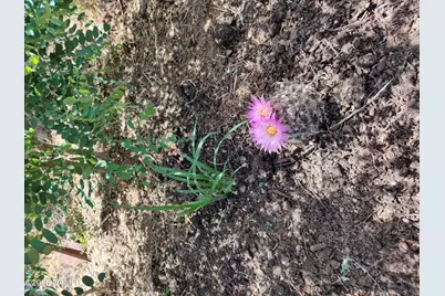 28465 Ringtail Road, Flagstaff, AZ 86004 - Photo 21