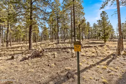 3430 S Del Aire Court, Flagstaff, AZ 86005 - Photo 13