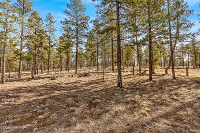 3430 S Del Aire Court, Flagstaff, AZ 86005 - Photo 17