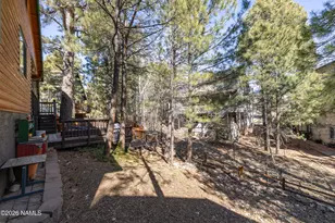 3834 S Wild West Trail, Flagstaff, AZ 86005 - Photo 35
