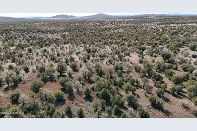 205-18-010 Dunbar Boulevard, Williams, AZ 86046 - Photo 9