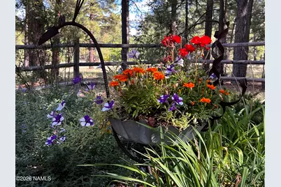 6161 E Olson Drive, Flagstaff, AZ 86004 - Photo 35