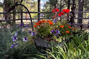 6161 E Olson Dr, Flagstaff, AZ 86004 - Photo 35