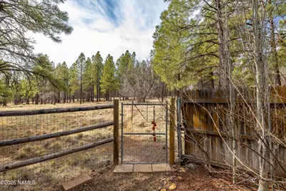 6161 E Olson Drive, Flagstaff, AZ 86004 - Photo 5