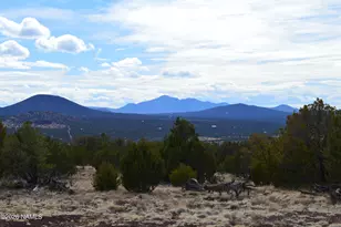 768 Mountain Cat Rd, Williams, AZ 86046 - Photo 33