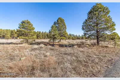 65 S Ansley Lane, Parks, AZ 86018 - Photo 5